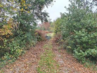 Stavbno zemljišče Pobri, Opatija - Okolica, 1.555m2