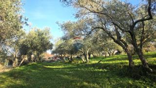 Stavbno zemljišče Lovrečica, Umag, 683m2