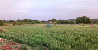 Stavbno zemljišče Marčana, 6.162m2