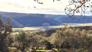 Stavbno zemljišče Krasica, Buje, 2.133m2
