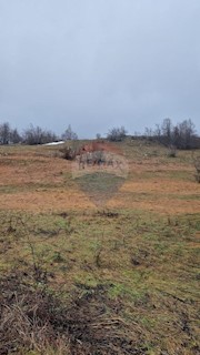 Vrata, Fužine, 14.203m2