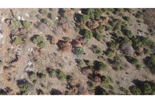 Zemljišče Poličnik, 22.336m2