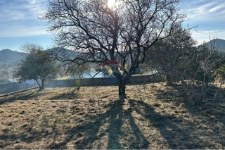 Zemljišče Banjevci, Stankovci, 1.015m2