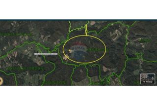 Zemljišče Donje Cjepidlake, Đulovac, 7.398m2