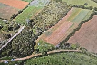 Zemljišče Gornje Raštane, Sveti Filip I Jakov, 9.500m2