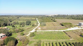 Nepremičnine Istra, prodajam stavbno zemljišče, okolica Novigrada