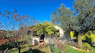 Prodam kmetijsko zemljišče z legaliziranim objektom – blizu Novigrada, Istra