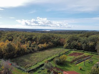 Nepremičnine Istra, prodajam stavbno zemljišče, Novigrad, okolica