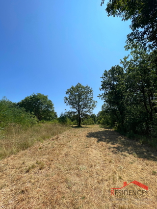 Krnica, Kmetijsko zemljišče