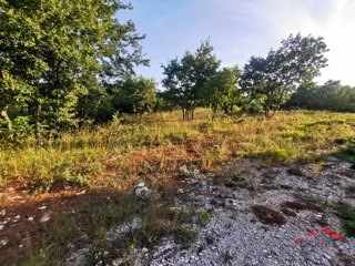 Savičenta, zazidljiva parcela