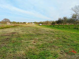 Banjole, kmetijsko zemljišče z oljčnim nasadom in vodo