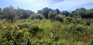 ŠTINJAN, ZAZIDLJIVO ZEMLJIŠČE