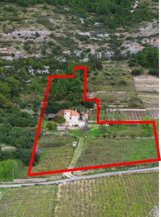 KAMENA KUĆA NA PELJEŠCU