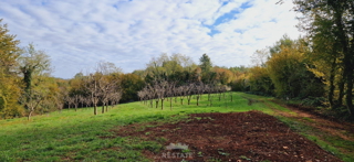 Vižinada: gradbeno + kmetijsko zemljišče