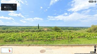 s pogledom na morje in vinograde