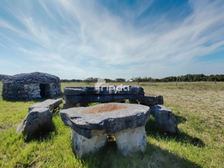 Velika kmetijska posest - Vodnjan - 13.841 m2