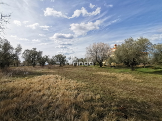 Gradbeno zemljišče - Rovinjsko selo - 1.500 m2