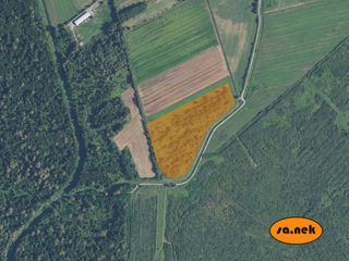 Kmetijska zemljišča v Kupincu