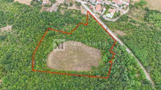Poreč, okolica - Kmetijsko zemljišče 20.000 m2 ob cesti