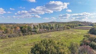 Poreč – Kmetijsko zemljišče 14.800 m²!!!