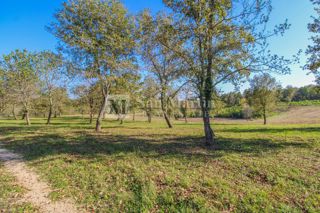 Višnjan, okolica - gradbena parcela na lepi lokaciji