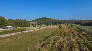 Poreč, okolica – prekrasna zazidljiva parcela v bližini Poreča