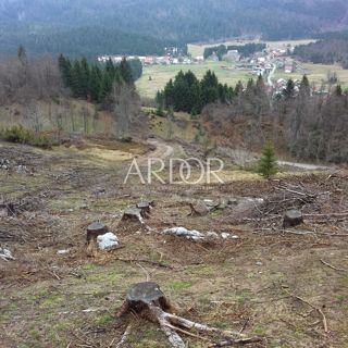 Zemljišče Sunger, Mrkopalj, 18.000m2
