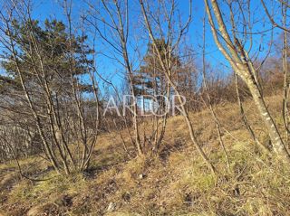 Zemljišče Cernik, Čavle, 1.017m2