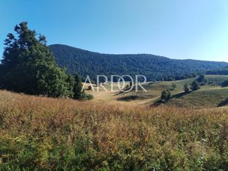 Zemljišče Begovo Razdolje, Mrkopalj, 5.000m2