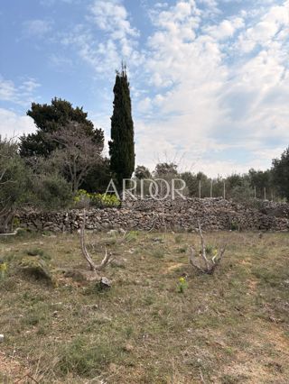 Zemljišče Barbat na Rabu, Rab, 1.500m2
