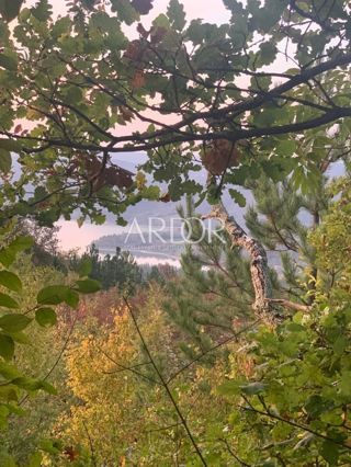 Zemljišče Butoniga, Pazin - Okolica, 44.000m2