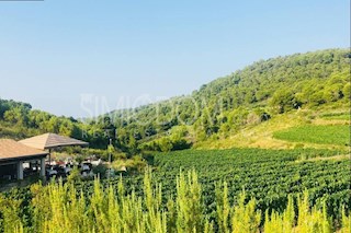 Prostorna obdelana posest z restavracijo, Vis