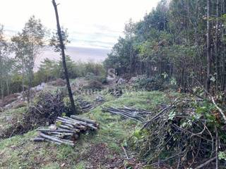 LOVRAN, gradbeno zemljišče 3055 m2 s pogledom na morje
