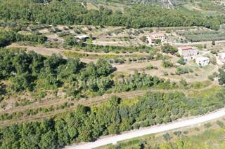 ISTRA - BUJE, stare hiše na zemljišču 16.691 m2 ob slovenski meji