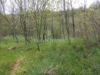 Zemljišče Kosi, Viškovo, 5.144m2