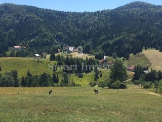Zemljišče Ravna Gora, 85.000m2