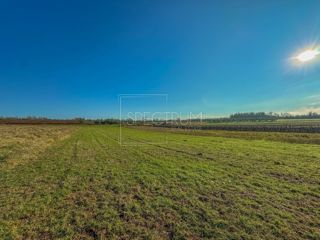 Območje Brtonigle, prostorno kmetijsko zemljišče