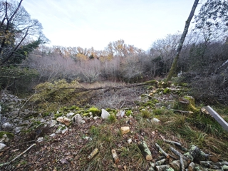 Okolica Malinske, prostorno gradbeno zemljišče na mirni lokaciji!