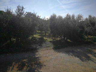 Pula, Busoler, 730 m2, za gradnjo hiše