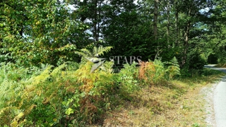 Vas Popovo - Kmetijska zemljišča - 53.418 m² (gozd, njive, pašniki, travniki)