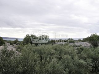 Velik oljčni nasad z gradbenim dovoljenjem in pogledom na morje, otok Krk