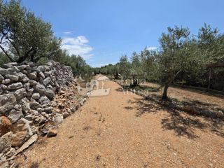Kmetijsko zemljišče Krk, 2.500m2