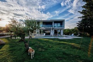 Vila Vrh, Krk, Kosići Vrh, 293m2