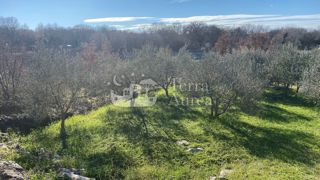 Gradbena zemljišča Malinska, Malinska-Dubašnica, 601m2