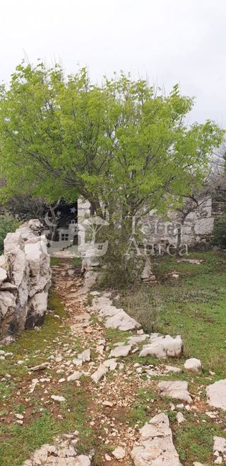 Stara hiša Sužan, Dobrinj, 40m2
