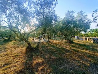 Kmetijsko zemljišče Malinska, Malinska-Dubašnica, 3.000m2