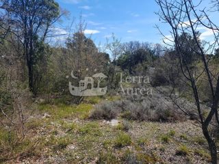 Kmetijsko zemljišče Pinezići, Krk, 25.670m2