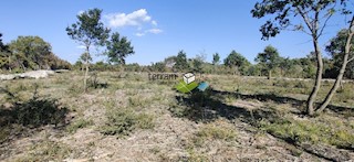 Istra, Bale, kmetijsko zemljišče 12400m2, TOP LOKACIJA, prodaja