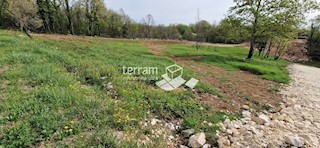 Istra, Barban, zazidljivo zemljišče 693m2 - 861m2 #prodaja