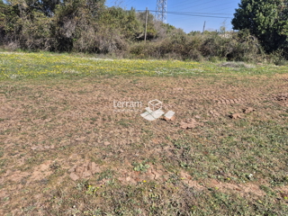 Istra, Pula, Šijana, gradbeno zemljišče, gospodarsko-poslovna raba 37.061 m2, #prodaja